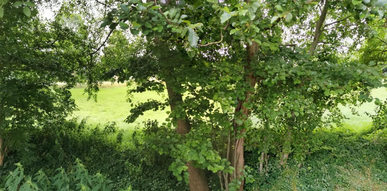 Gemuetliches Ferienhaus "An Der Schilde" In Renzow Buitenkant foto