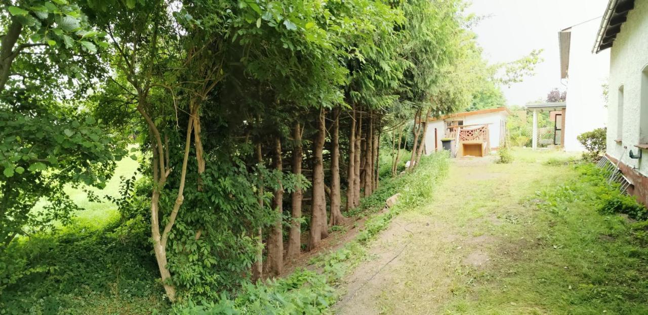 Gemuetliches Ferienhaus "An Der Schilde" In Renzow Buitenkant foto